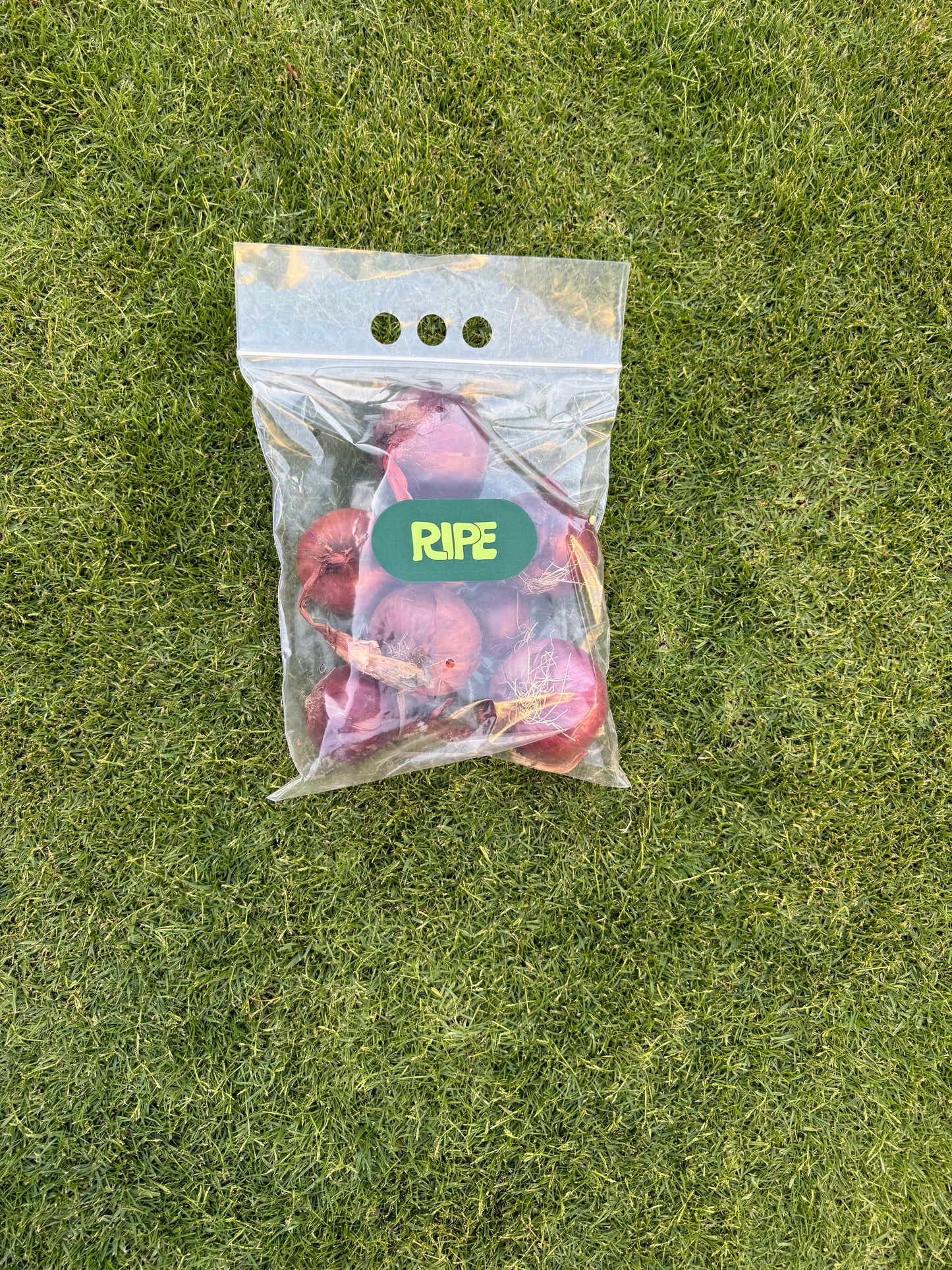 1 Kg (Red onion - بصل أحمر)