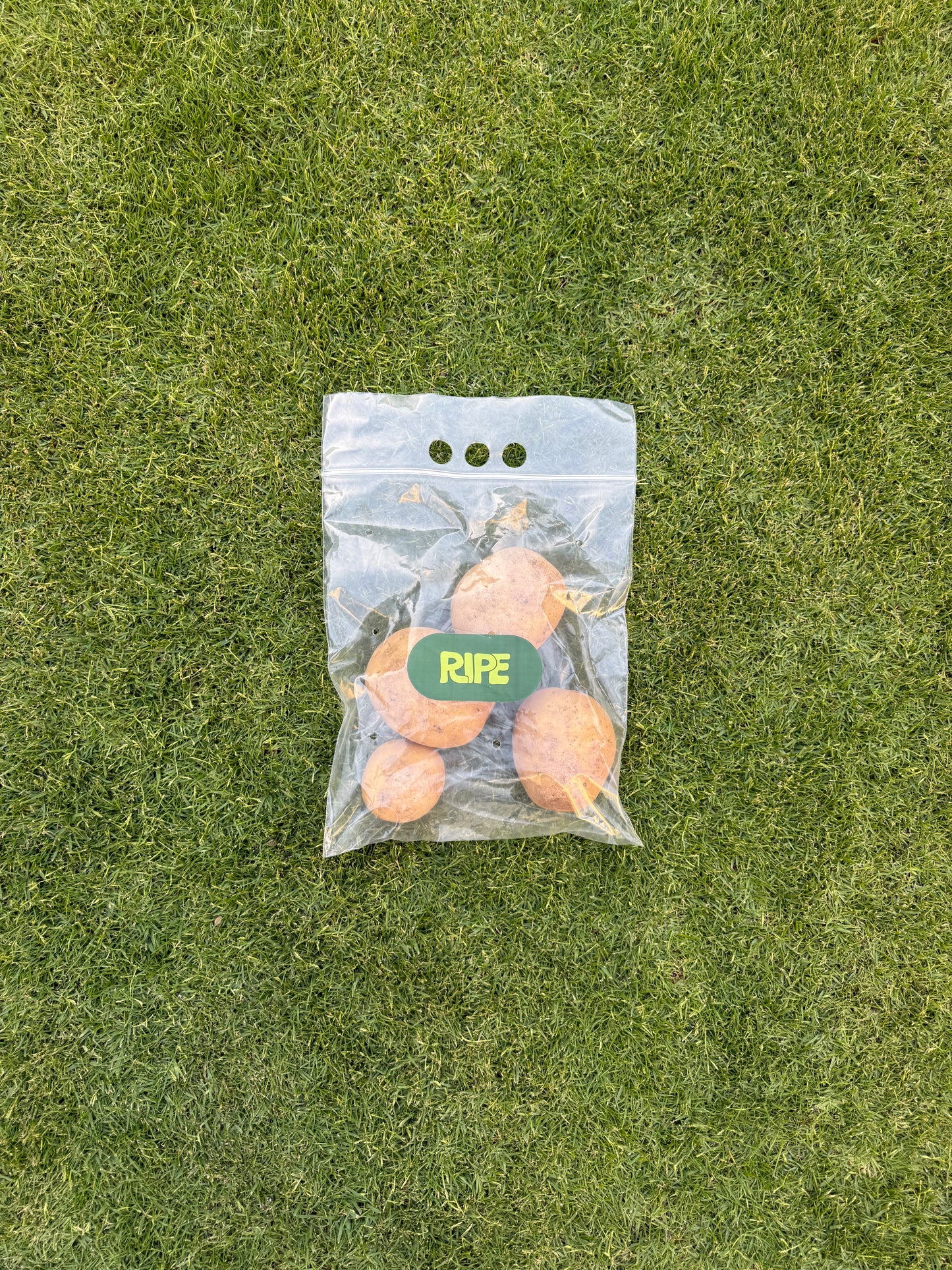 1 KG (Potato - بطاطس)