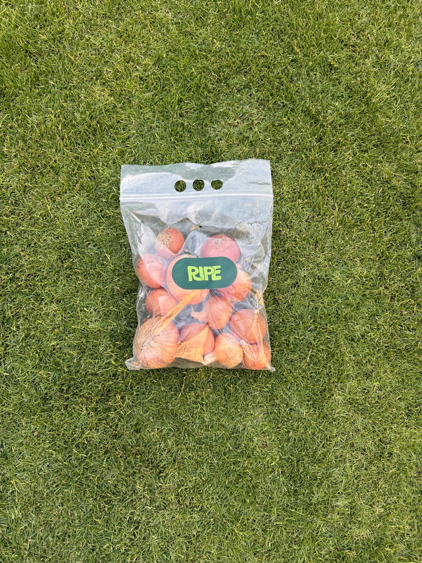 1 Kg (White onion - بصل أبيض)