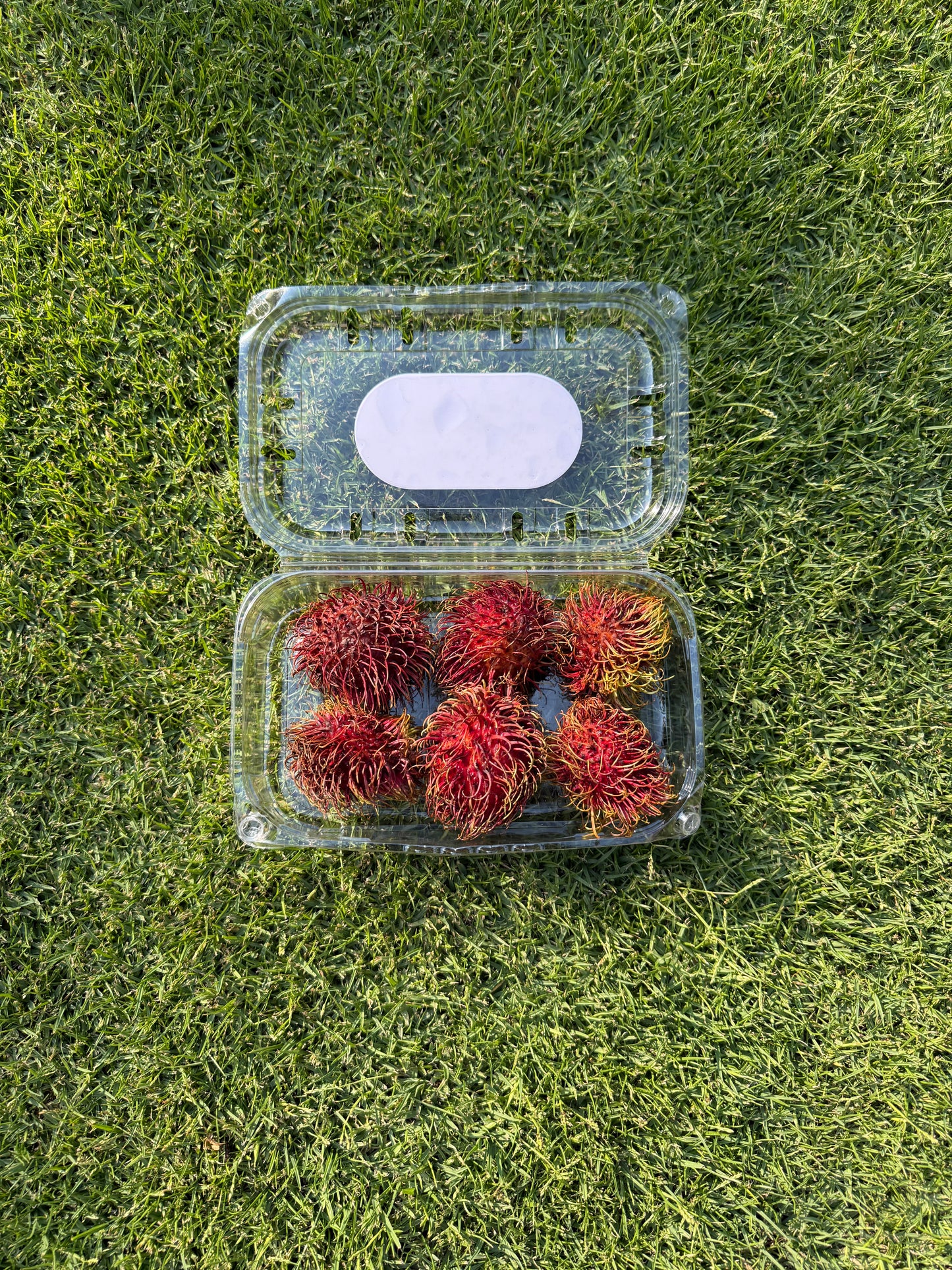 6 Pieces Rambutan (180-210G)