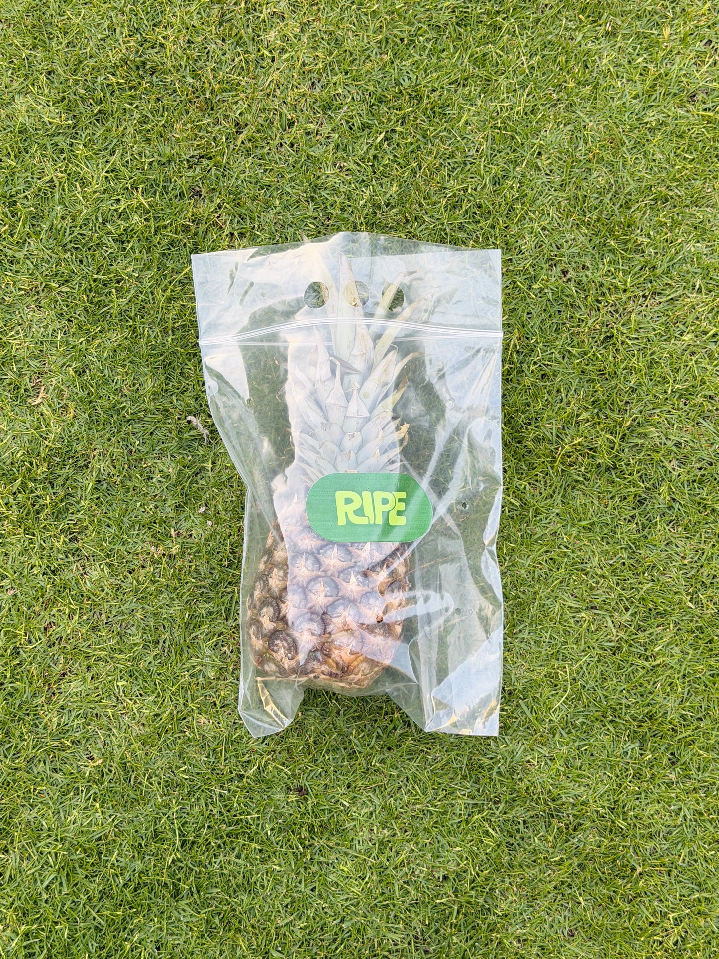 Piece ( Pineapple - أناناس )