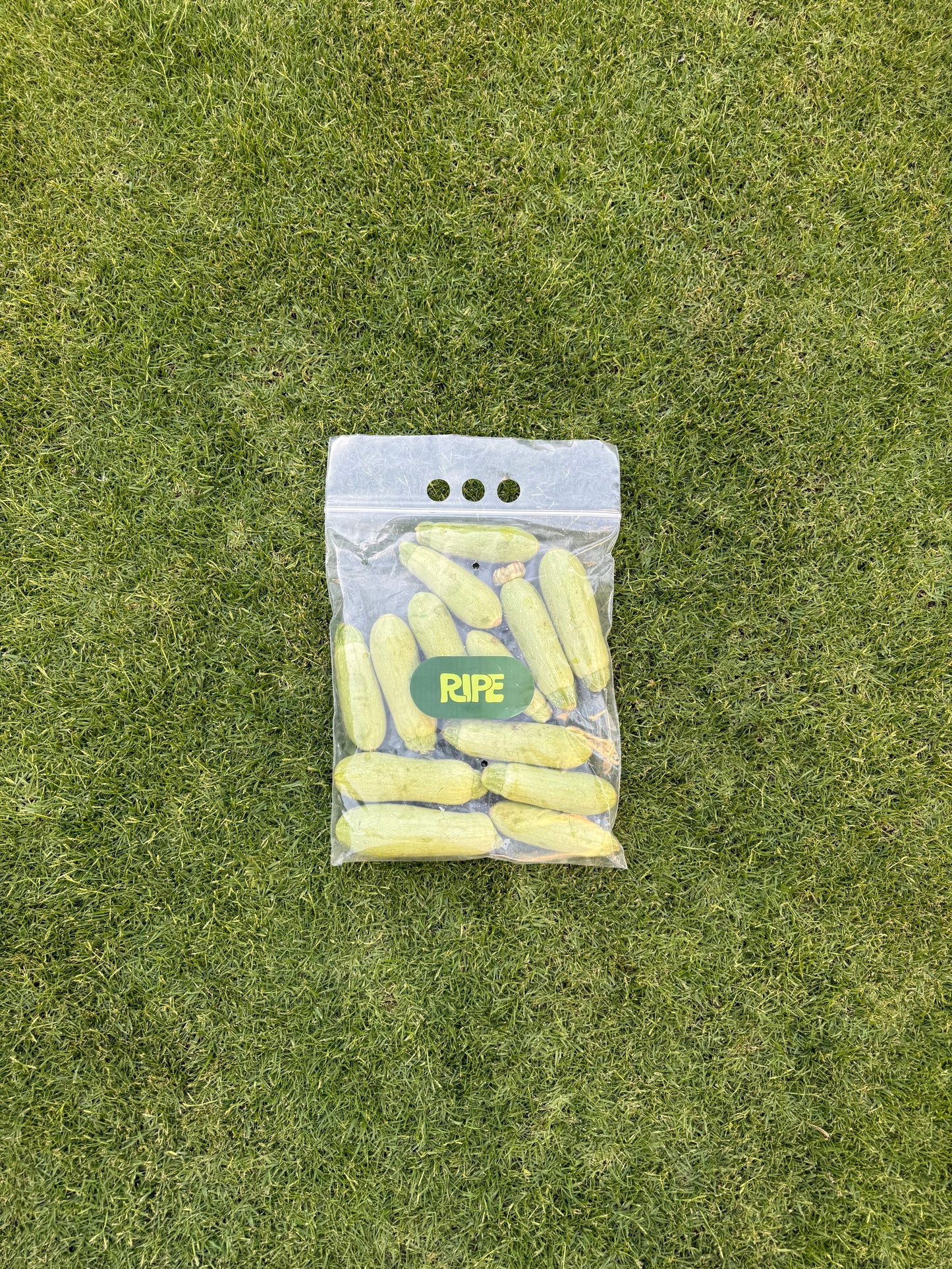 1 Kg (Zucchini - كوسه)