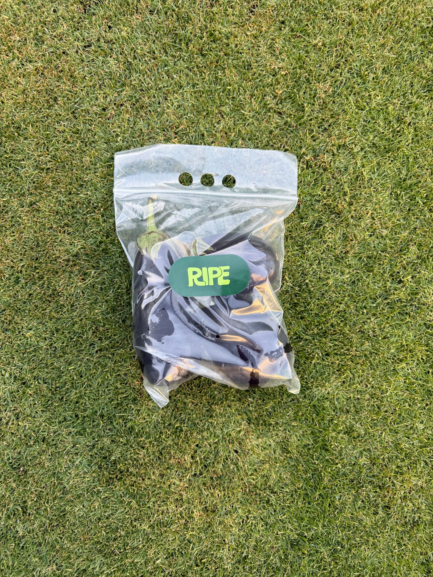 1 Kg (Eggplant - باذنجان)