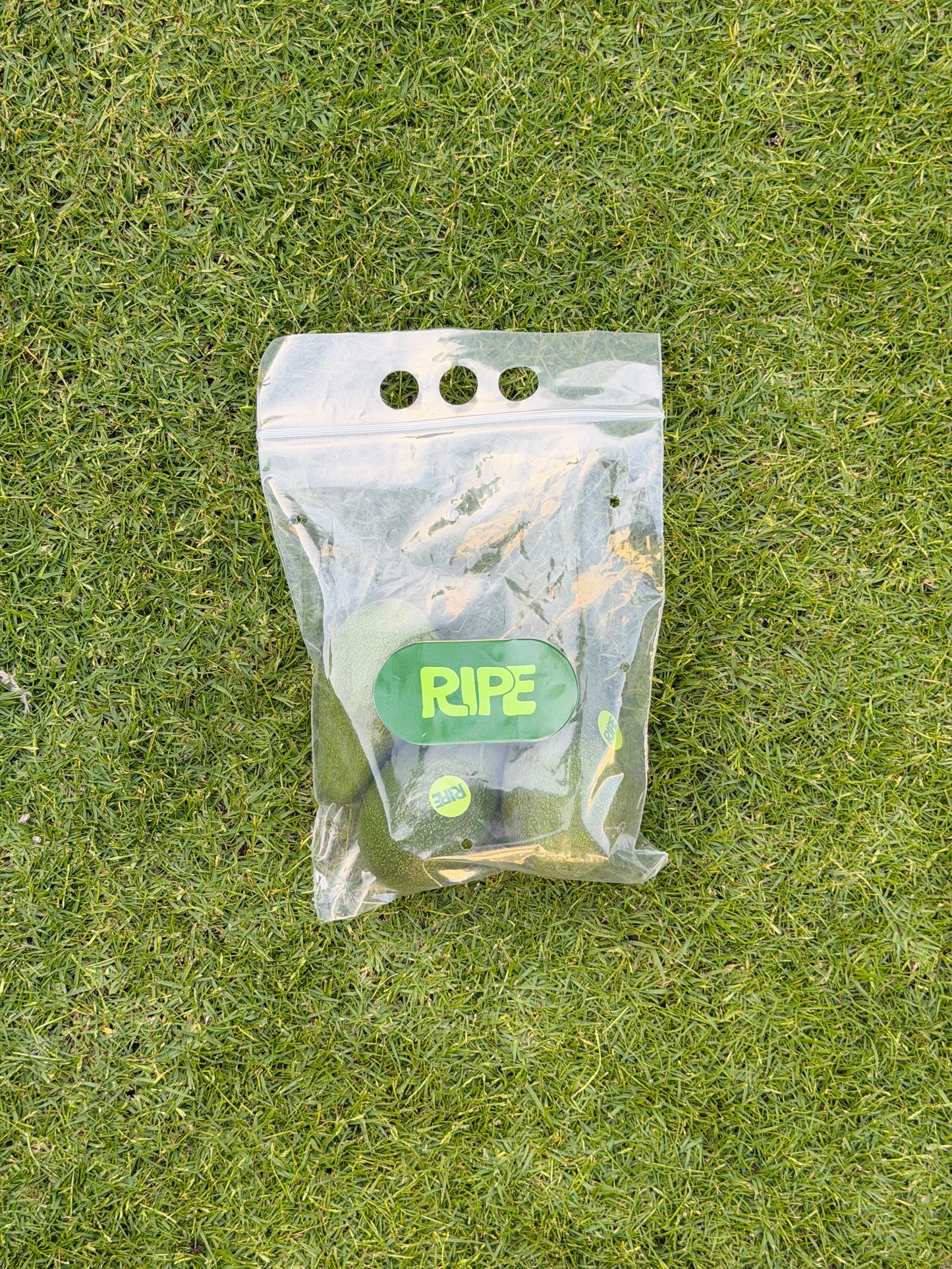 1/2 KG ( Egyptian Avocado - افوكادوا مصري )