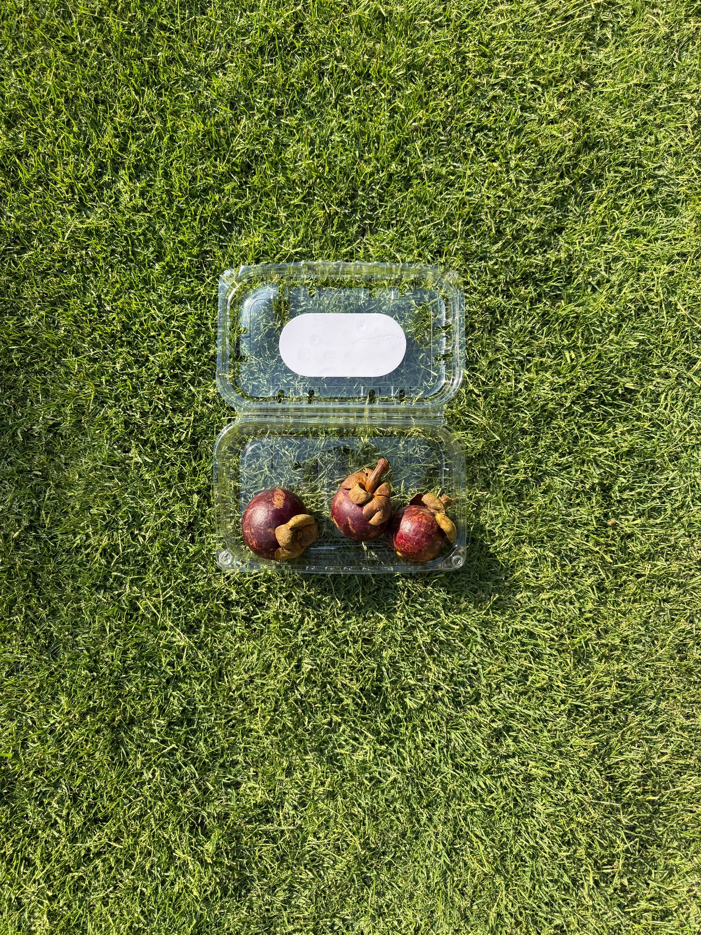 3 Pieces Mangosteen (180-210G)