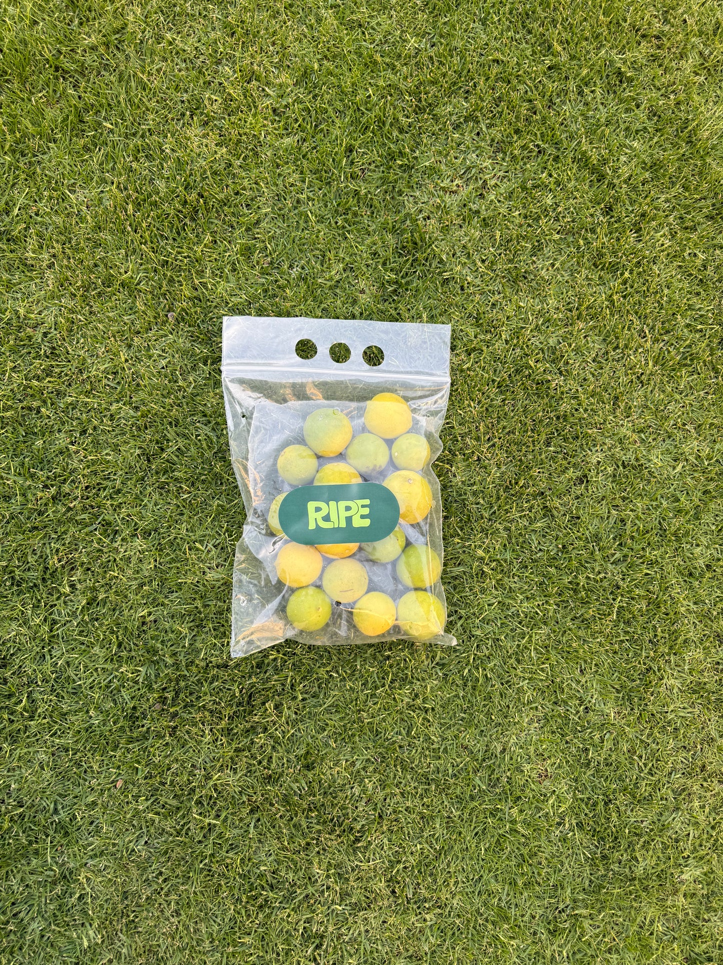 500 G (Balady lemon - ليمون بلدي)