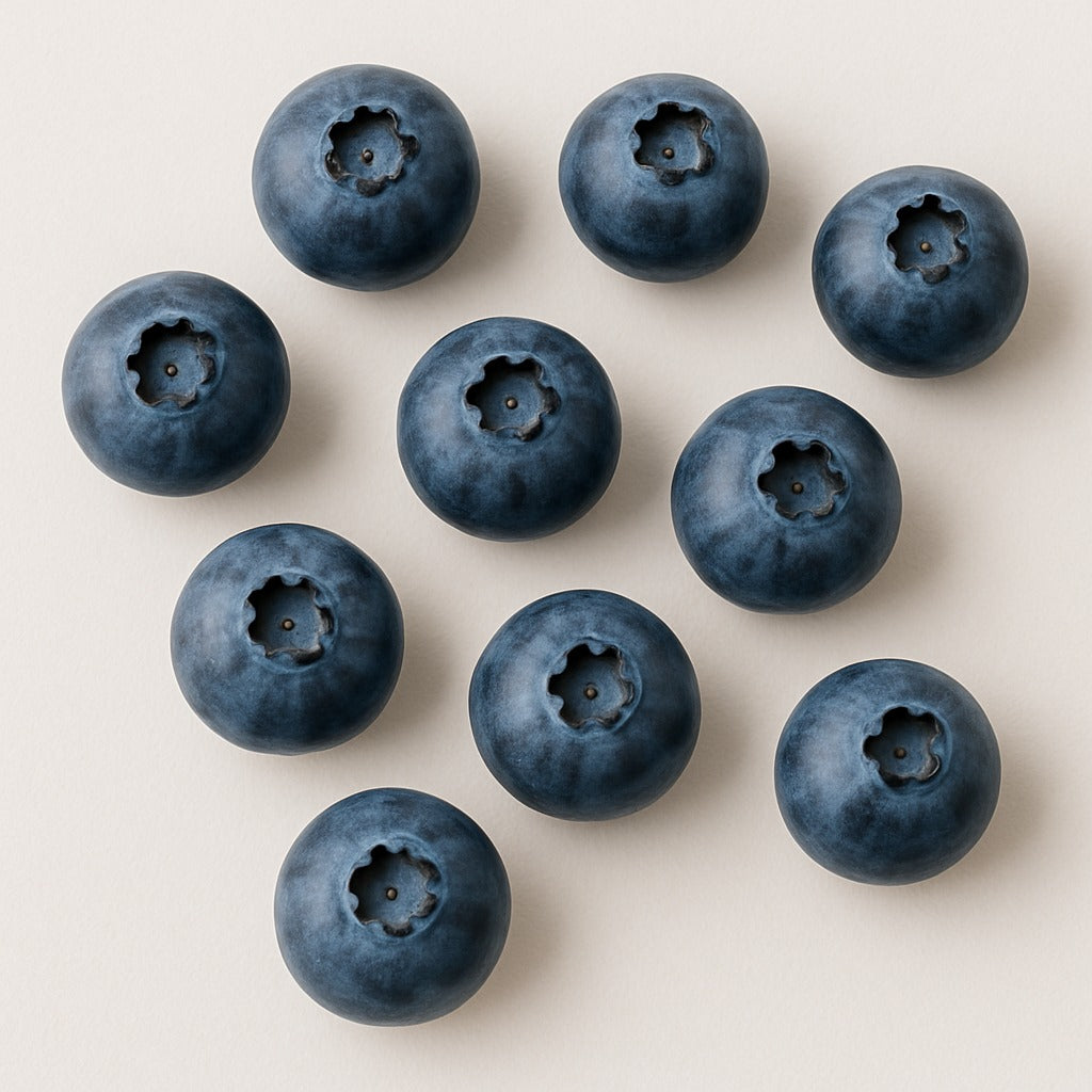 Blueberry - توت ازرق