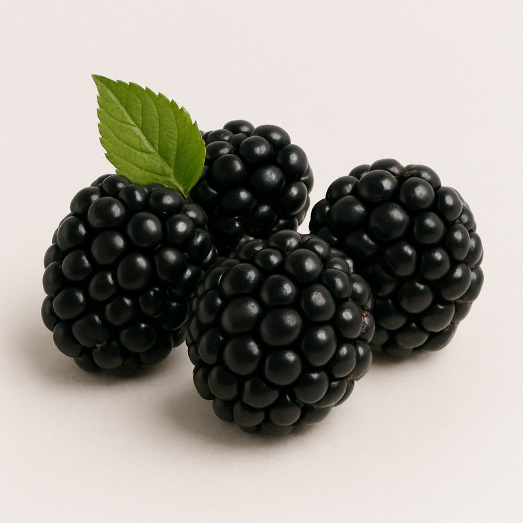 Blackberries - توت اسود