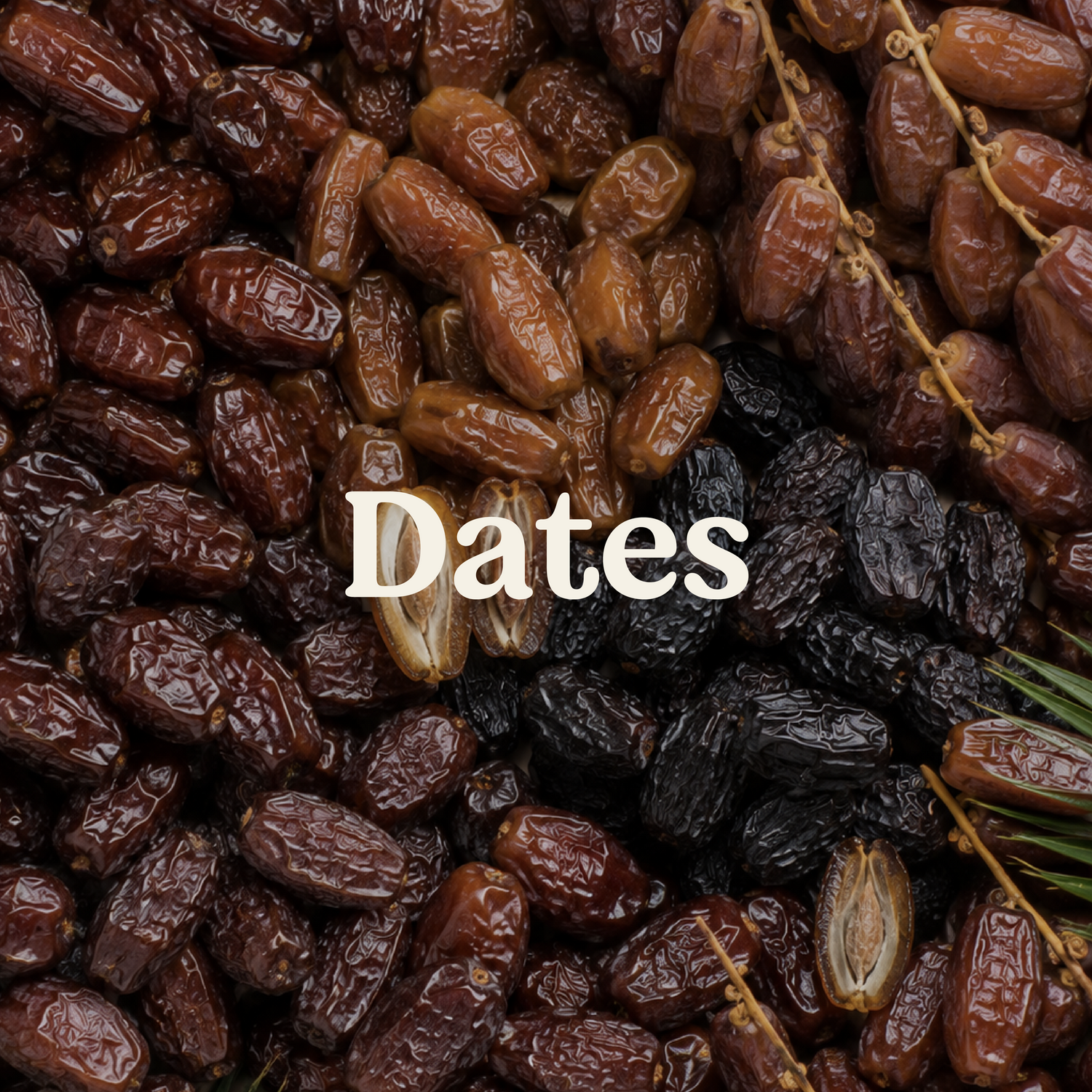 Dates