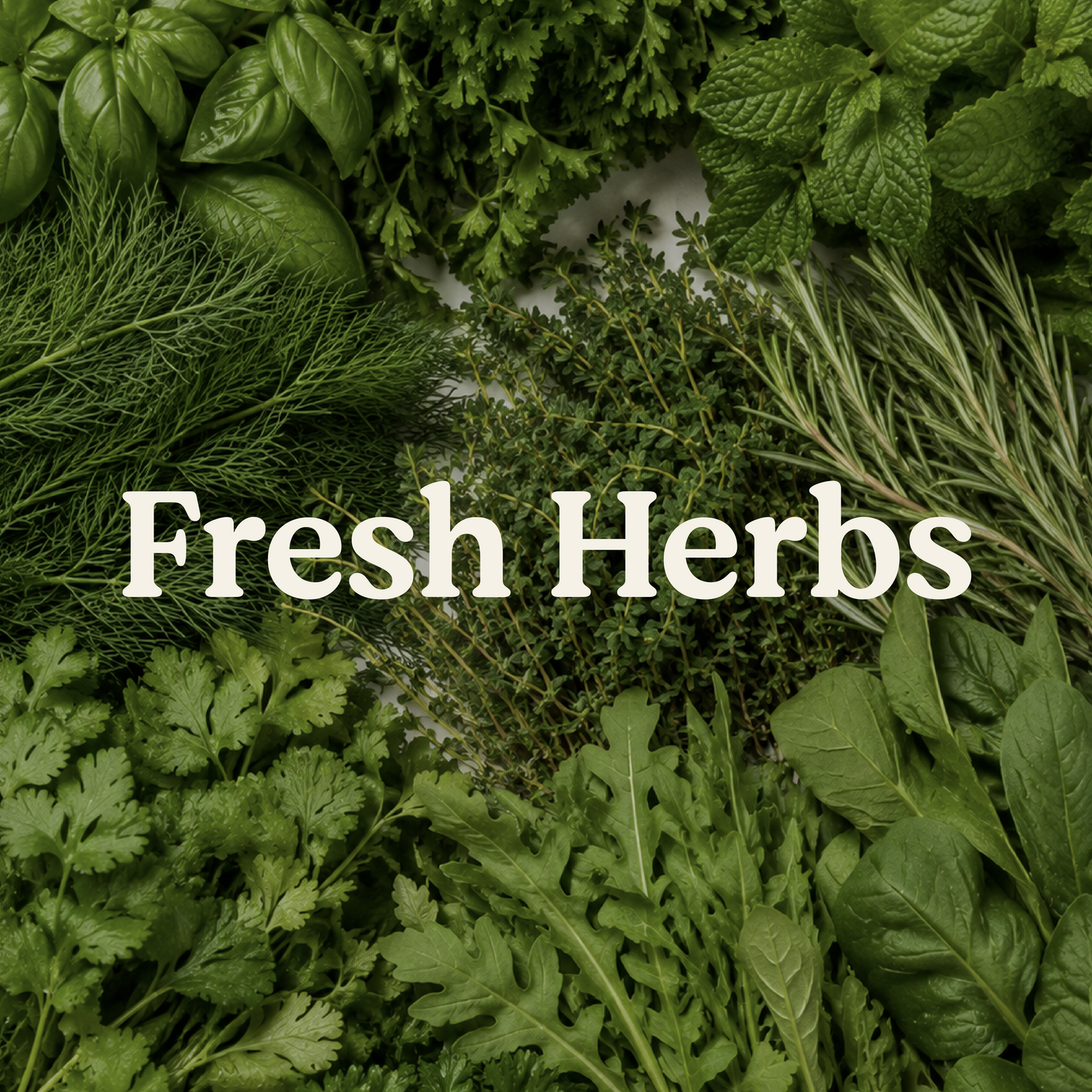 Fresh Herbs