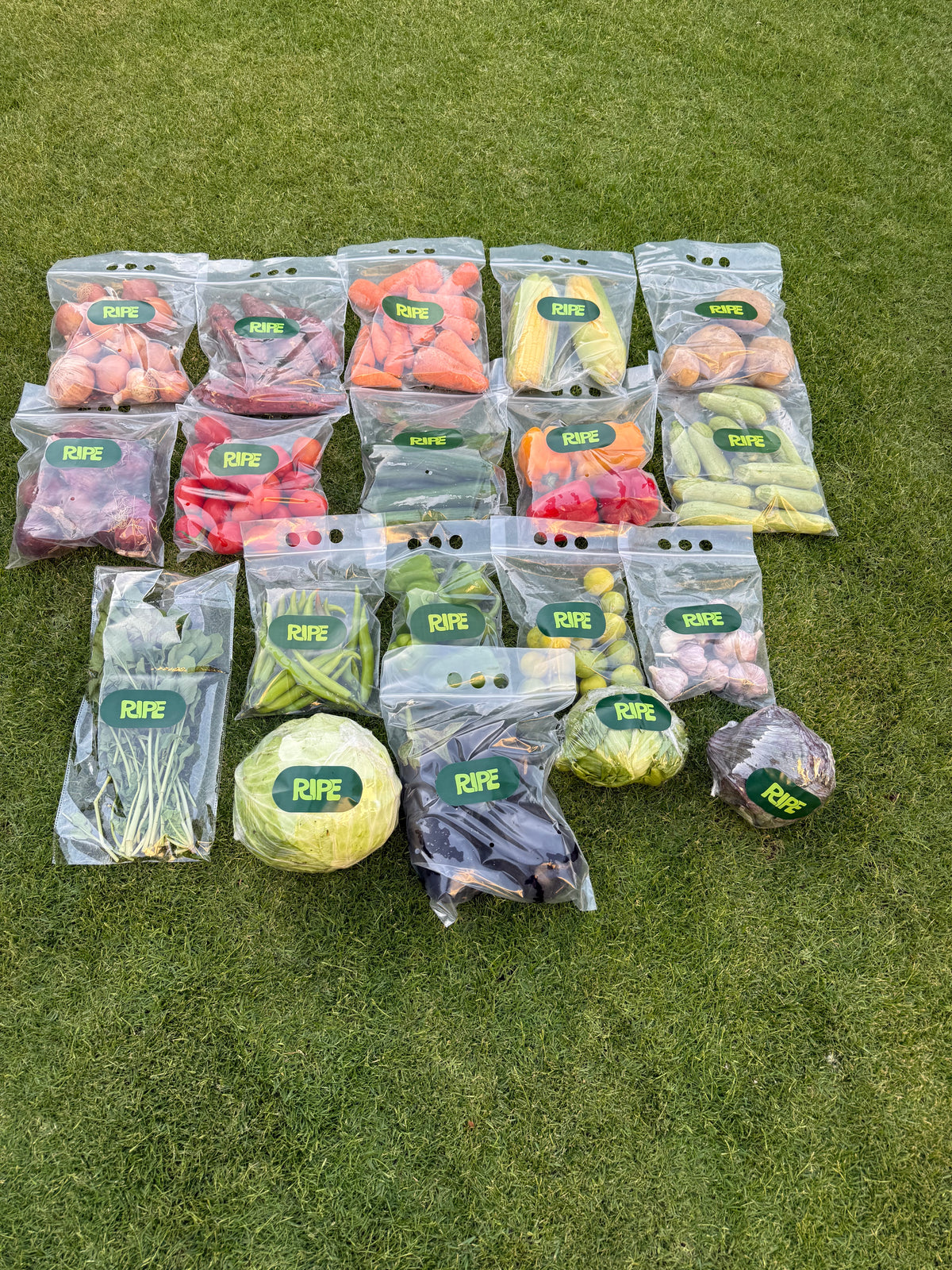 B2B – Ripe.eg