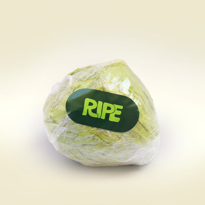 White Cabbage - كرنب ابيض (1 Piece)