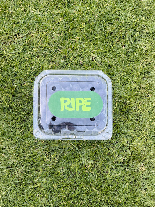 Plate 125 G Imported Blueberry -   توت ازرق مستورد