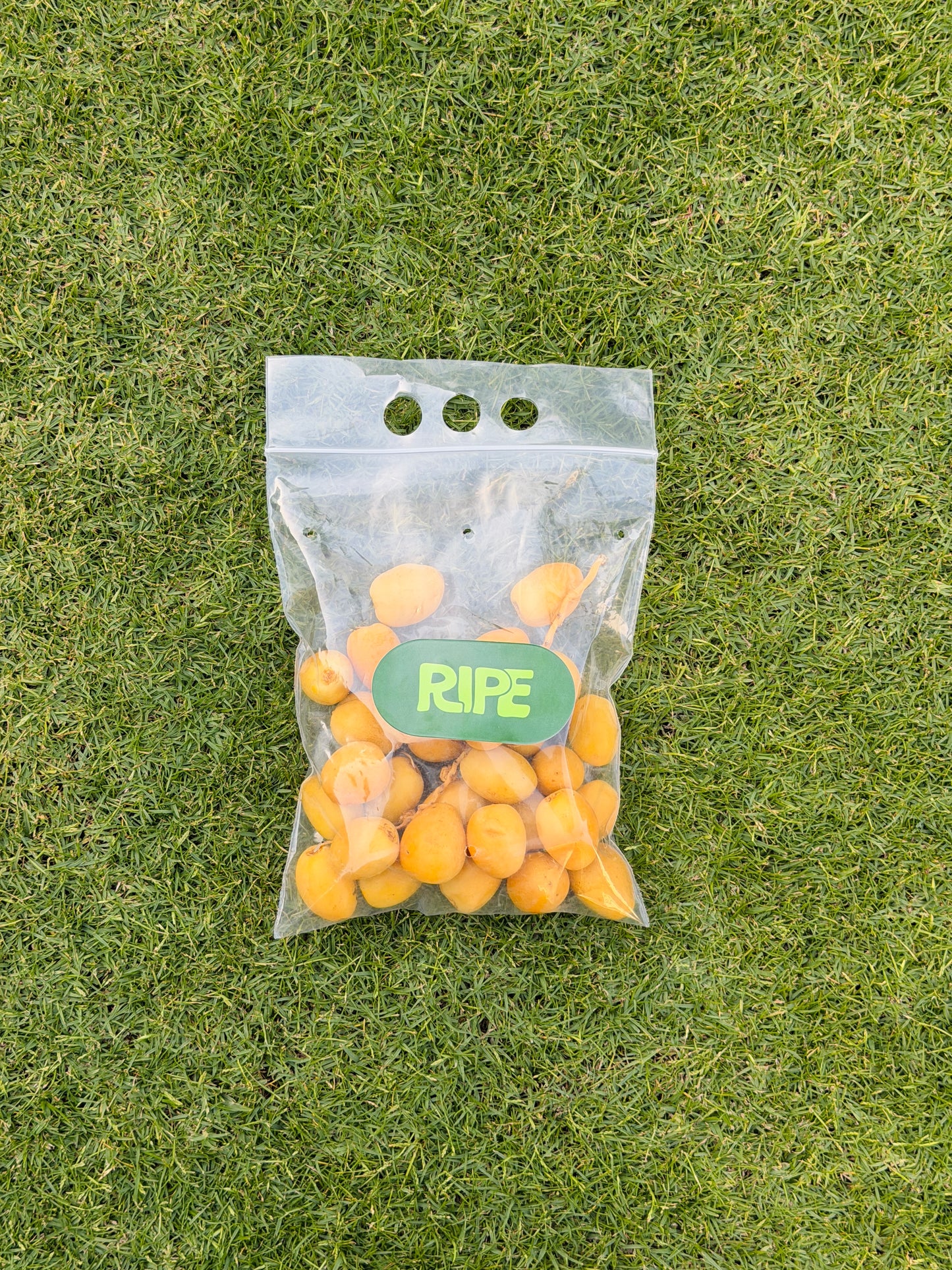 1/2 KG ( Fresh dates - بلح برحي )