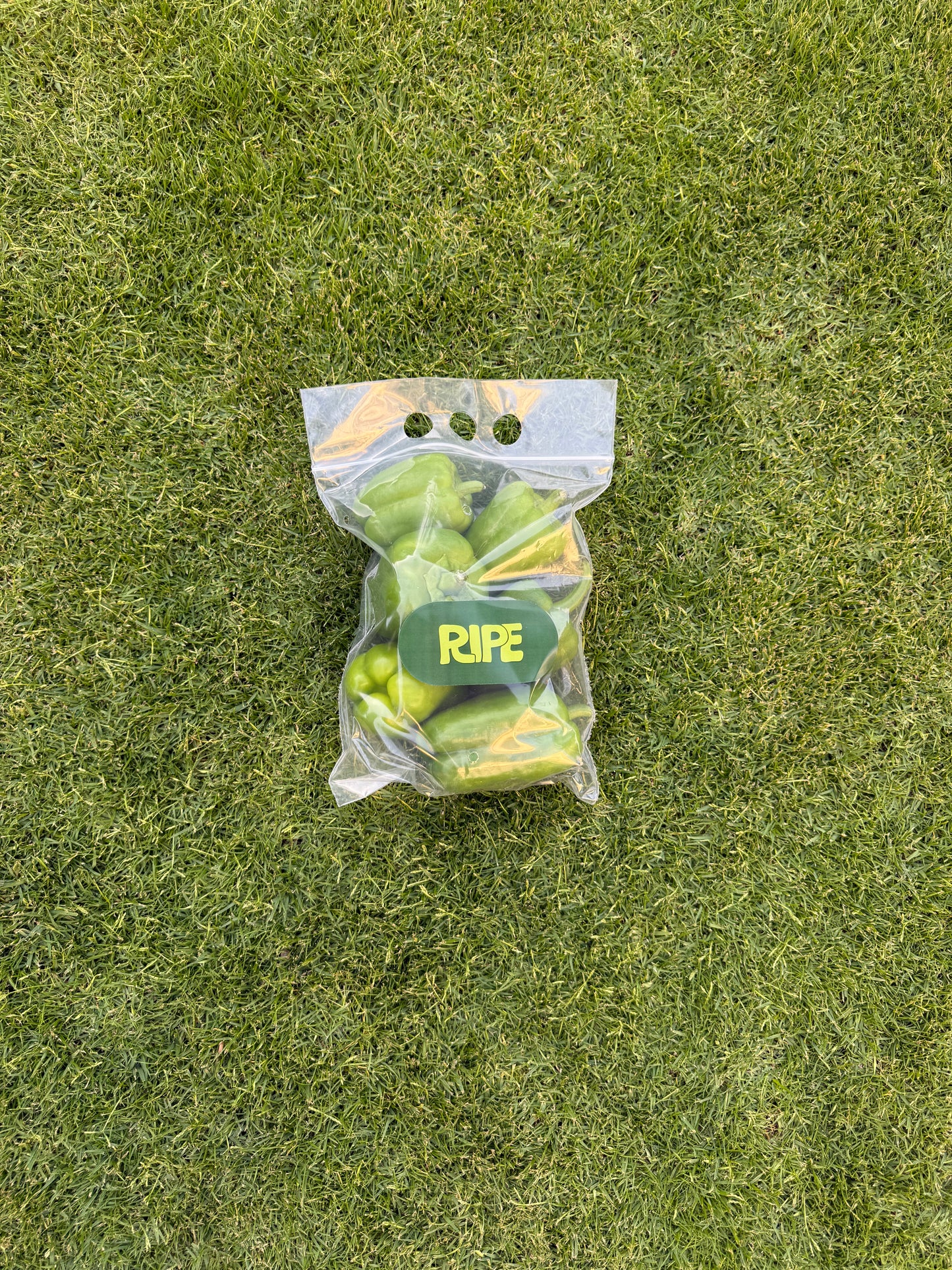 500 G (Rommi pepper - فلفل رومي)