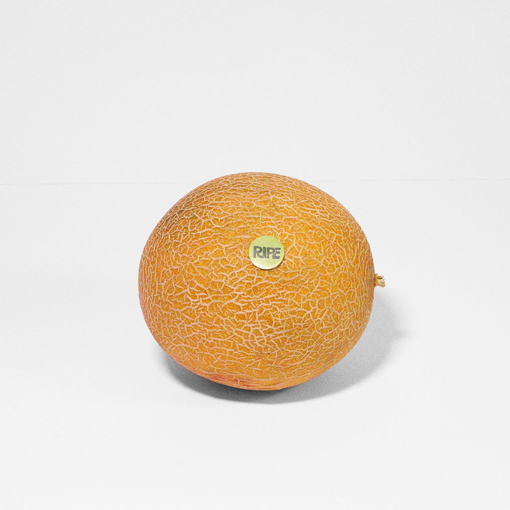 Cantaloupe - كانتالوب (1 Piece)