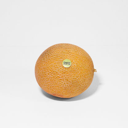 Cantaloupe - كانتالوب (1 Piece)