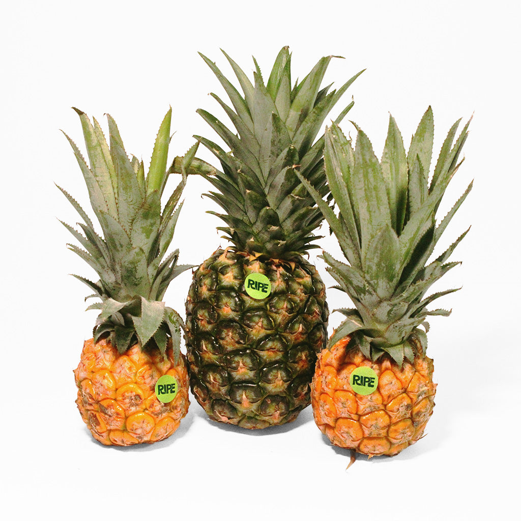 Pineapple Bundle