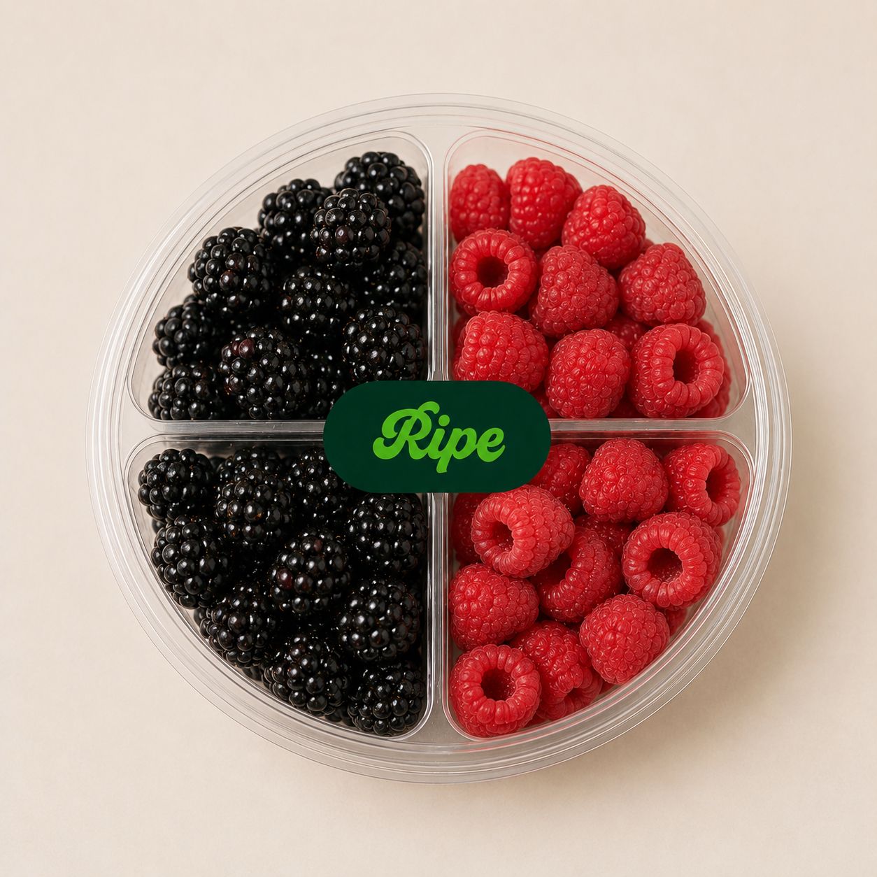Cuts Box (2 Blackberry, 2 Raspberry)