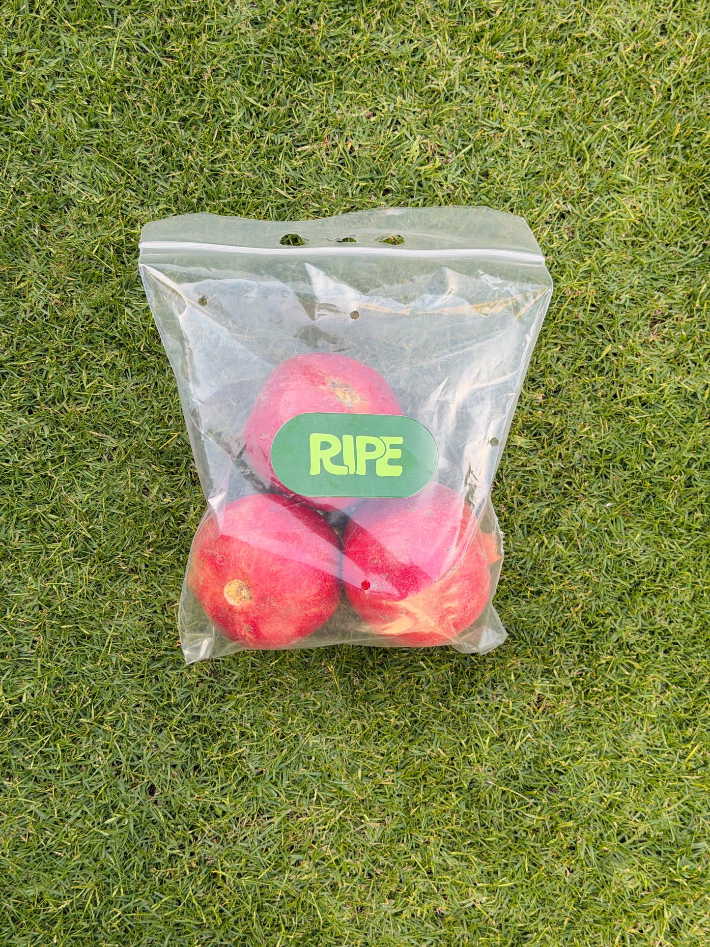 1 KG (Pomegranate - رمان)