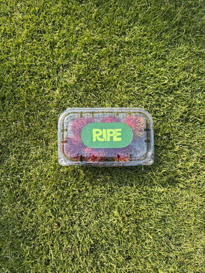 6 Pieces Rambutan (180-210G)