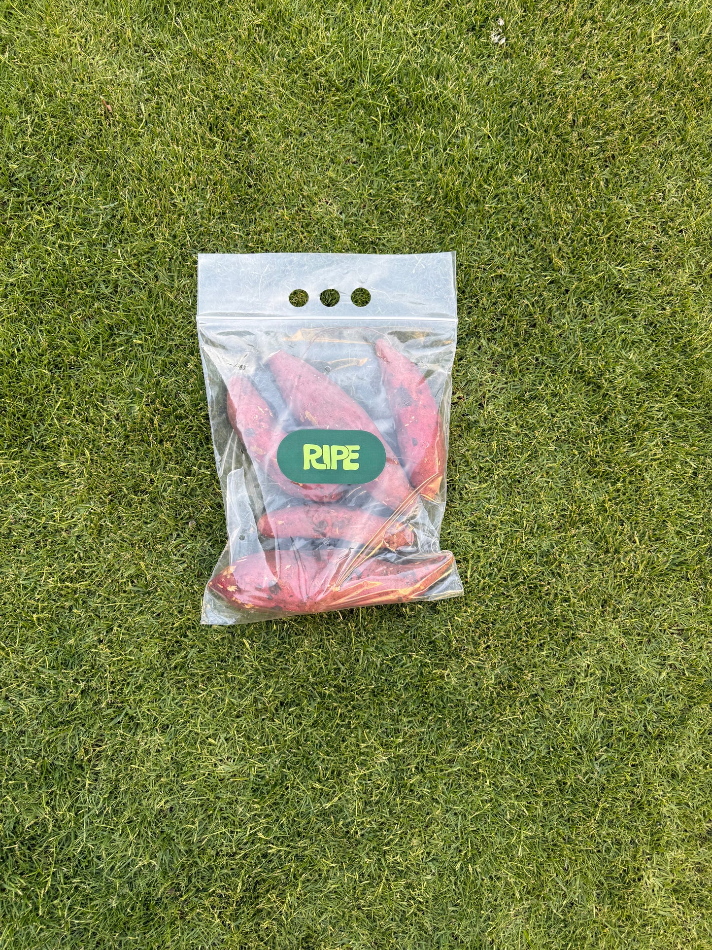 1 KG (Sweet Potato - بطاطا حلوة)