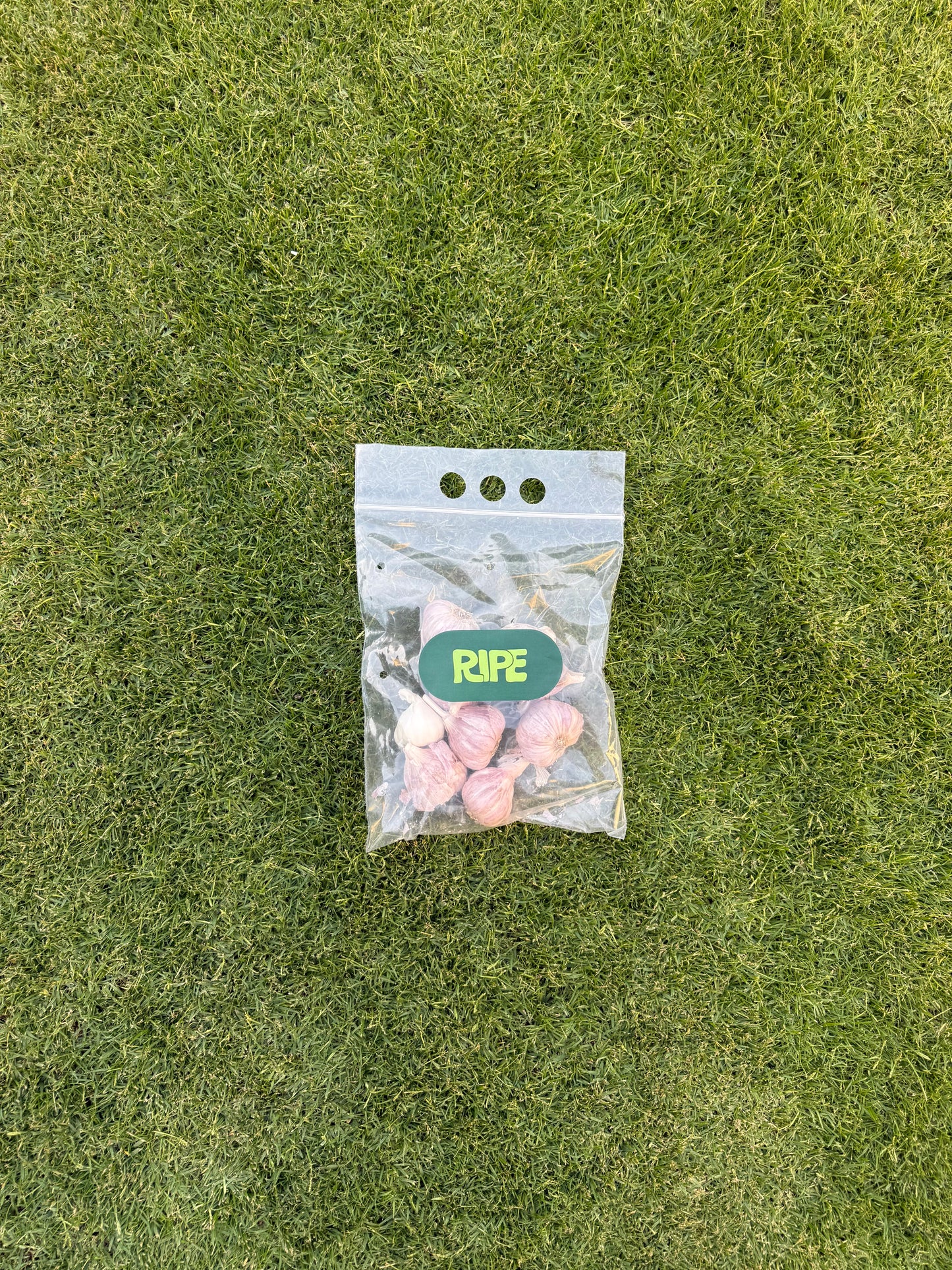 250 G (Local garlic - ثوم محلي)