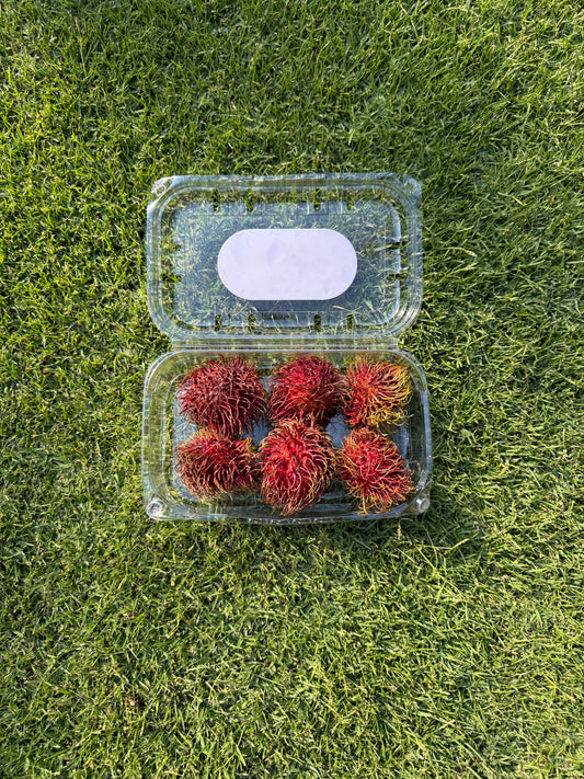 6 Pieces Rambutan (180-210G)