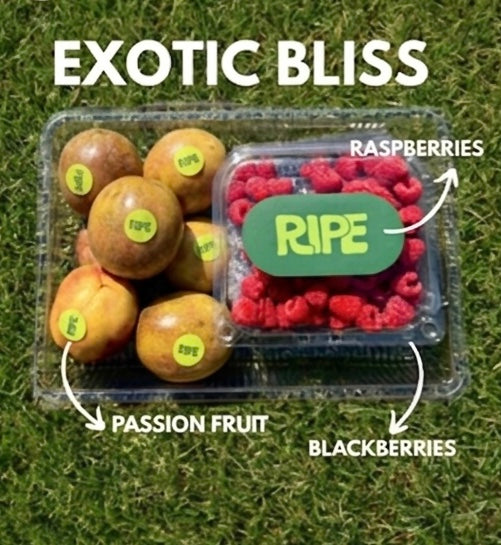Exotic Bliss