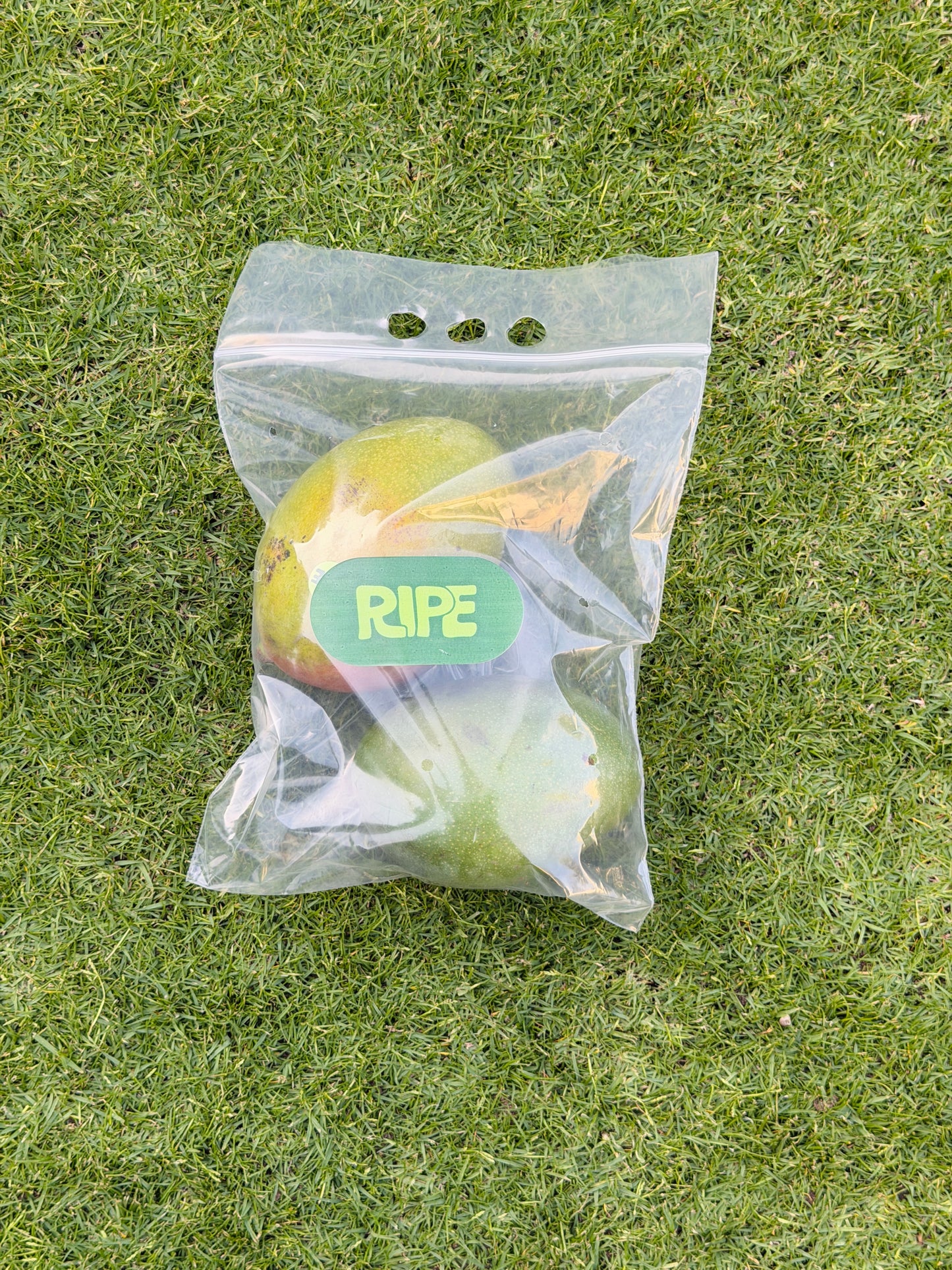 1 KG ( Mango keitt -  مانجو كيت )