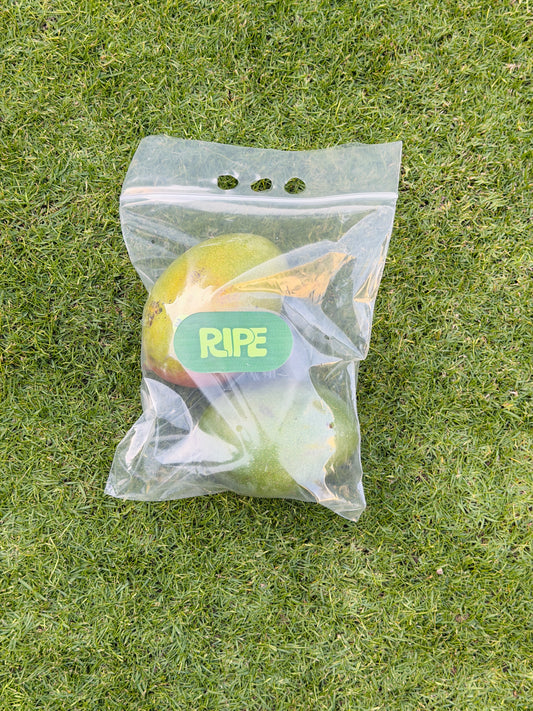 1 KG ( Mango keitt -  مانجو كيت )