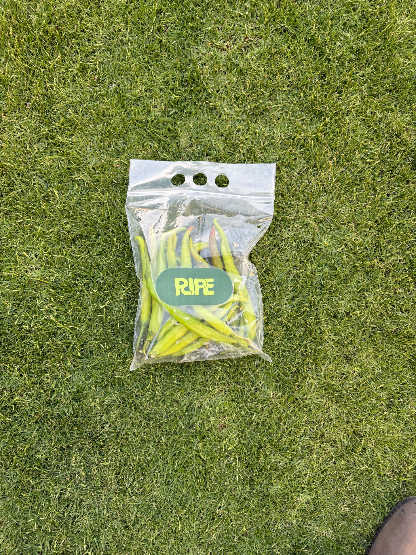 250 G (Hot pepper - فلفل حار)