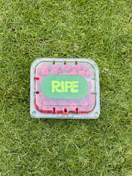 Plate 125 G ( Raspberries - توت احمر)