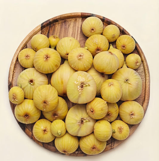 Yellow fig - تين اصفر