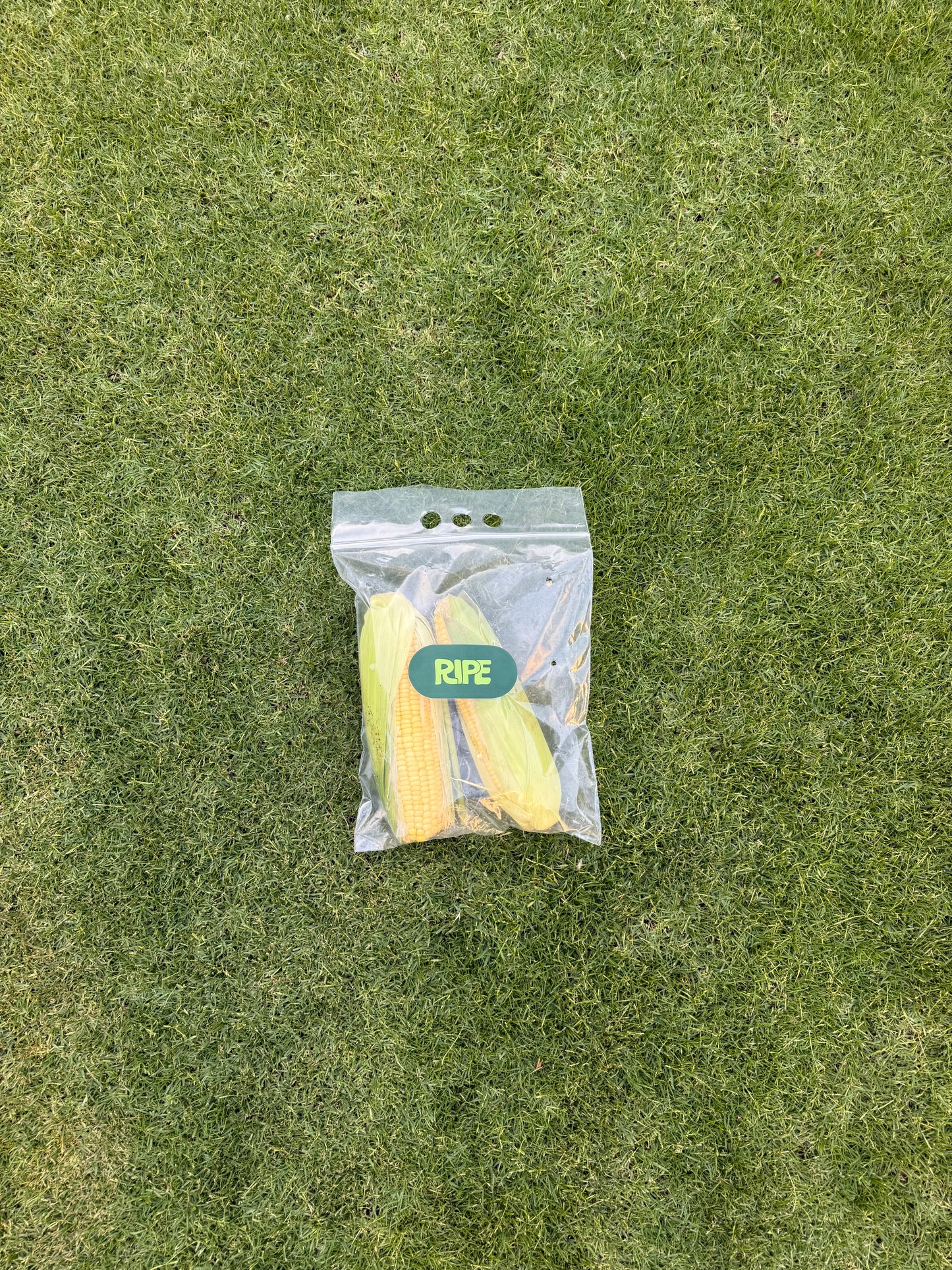 2 Pieces (Corn - ذرة)