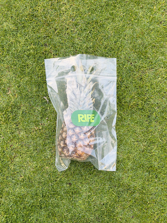 Piece ( Pineapple - أناناس )