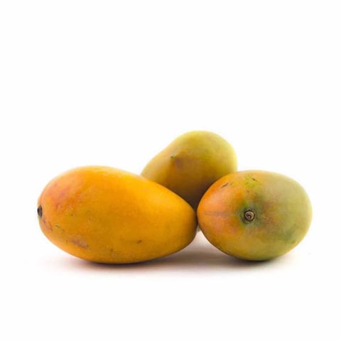KG ( Mango Fas _ مانجة فص )
