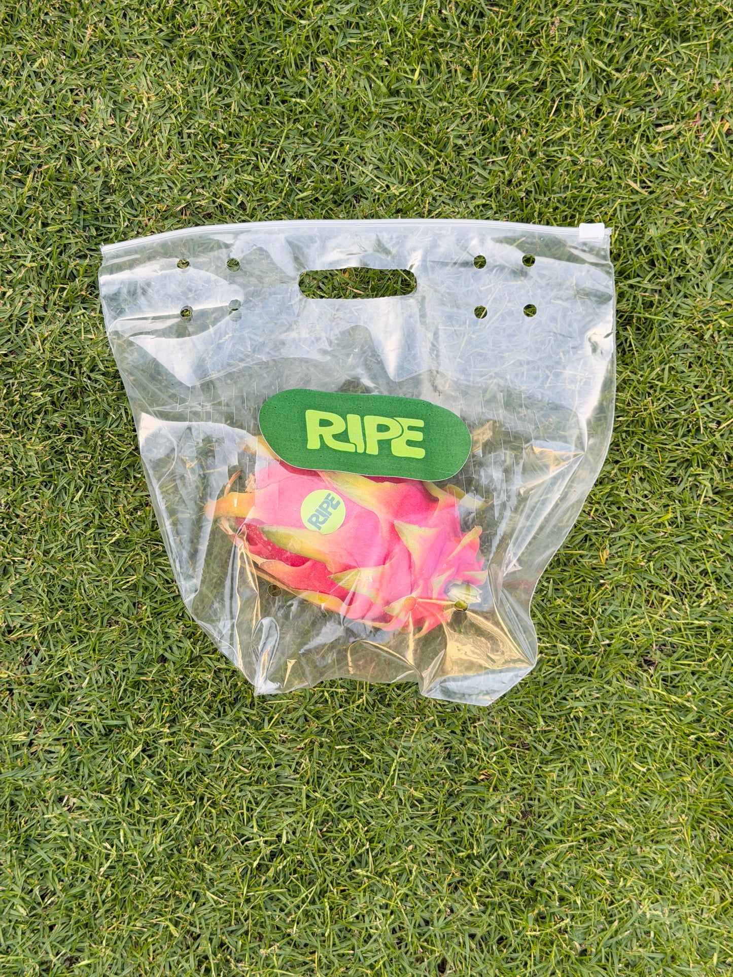 1 Piece 350 G - 450 G ( White dragon fruit - دراجون فروت ابيض)