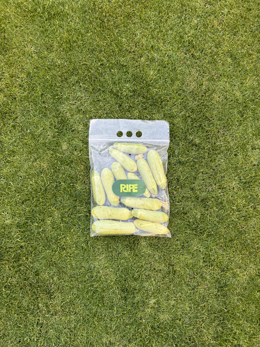 1 Kg (Zucchini - كوسه)