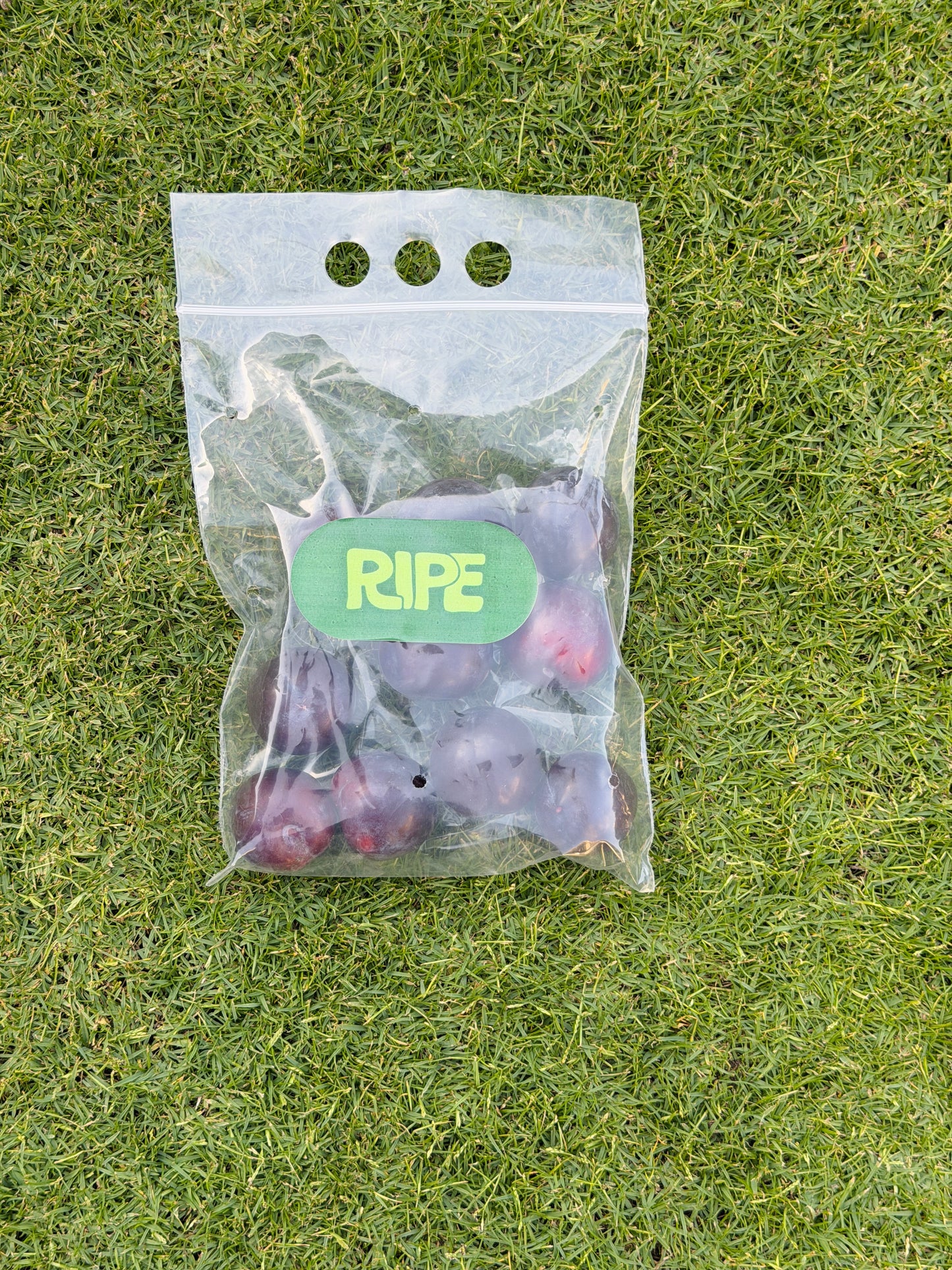 1/2 KG( Plum - برقوق )