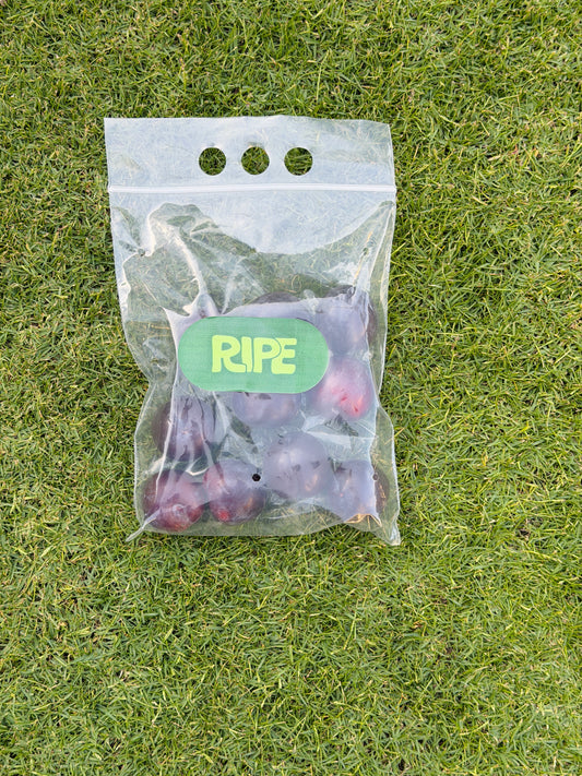 1/2 KG( Plum - برقوق )