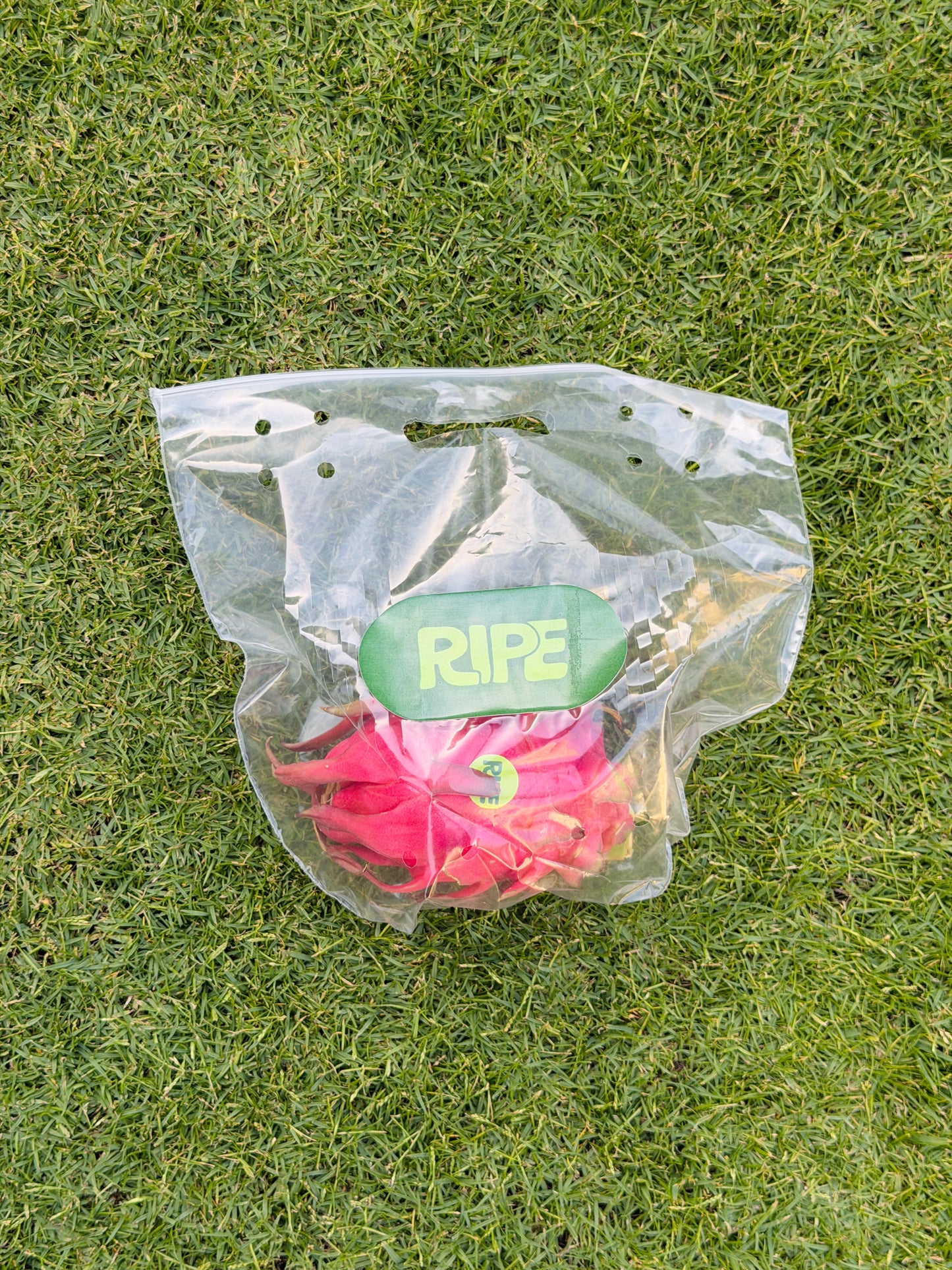 1 Piece 350 G - 450 G ( Red dragon fruit - دراجون فروت احمر)