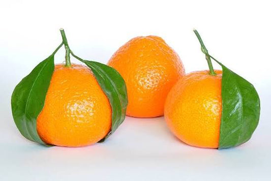 Morket Tangerine - يوسيفي موركيت (1 KG)