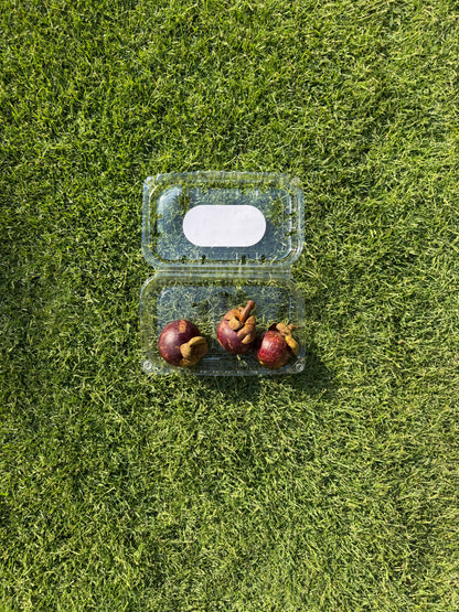 3 Pieces Mangosteen (180-210G)