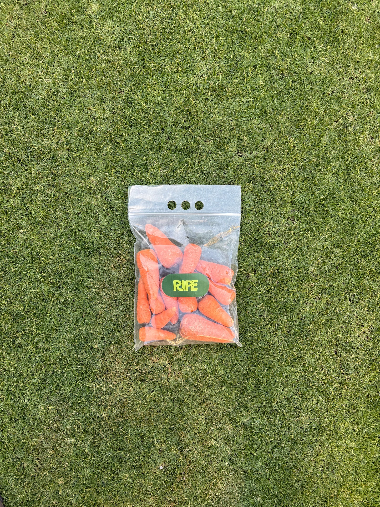 1 Kg (Carrot - جزر)
