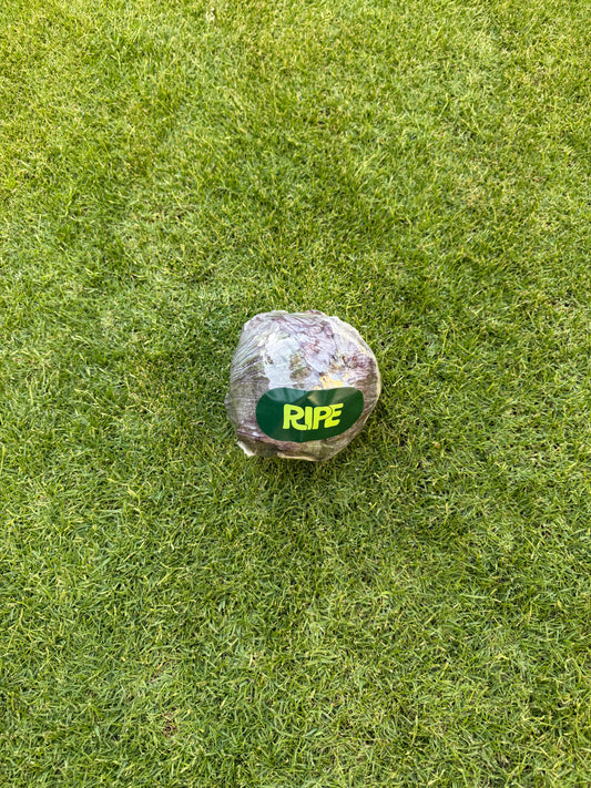 1 piece (Red Cabbage -  كرنب احمر)