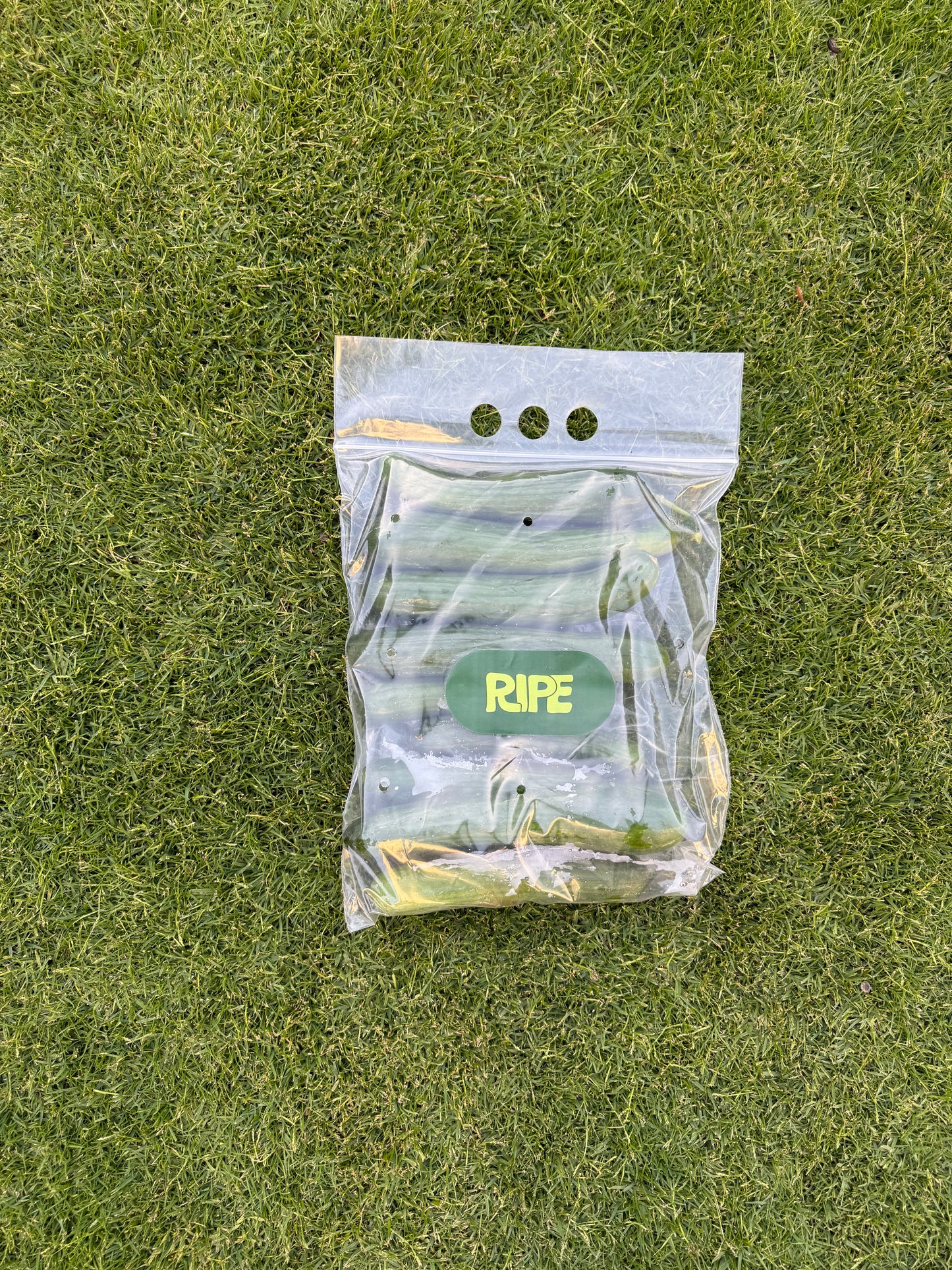 1 Kg (Balady Cucumber - خيار بلدي)