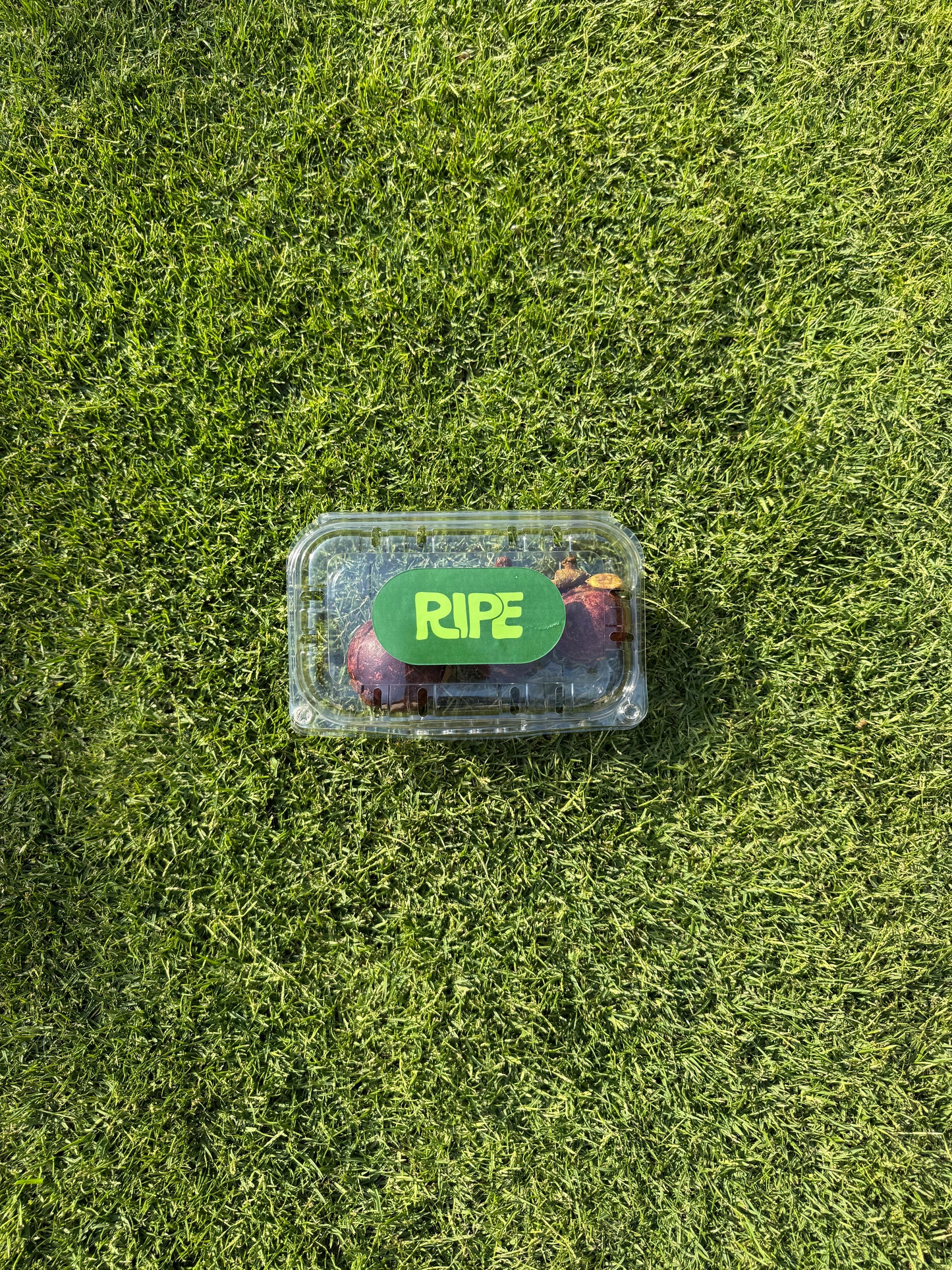 3 Pieces Mangosteen (180-210G)