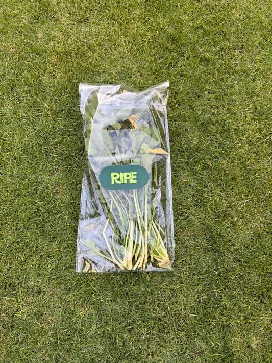 100 G (Arugula - جرجير)