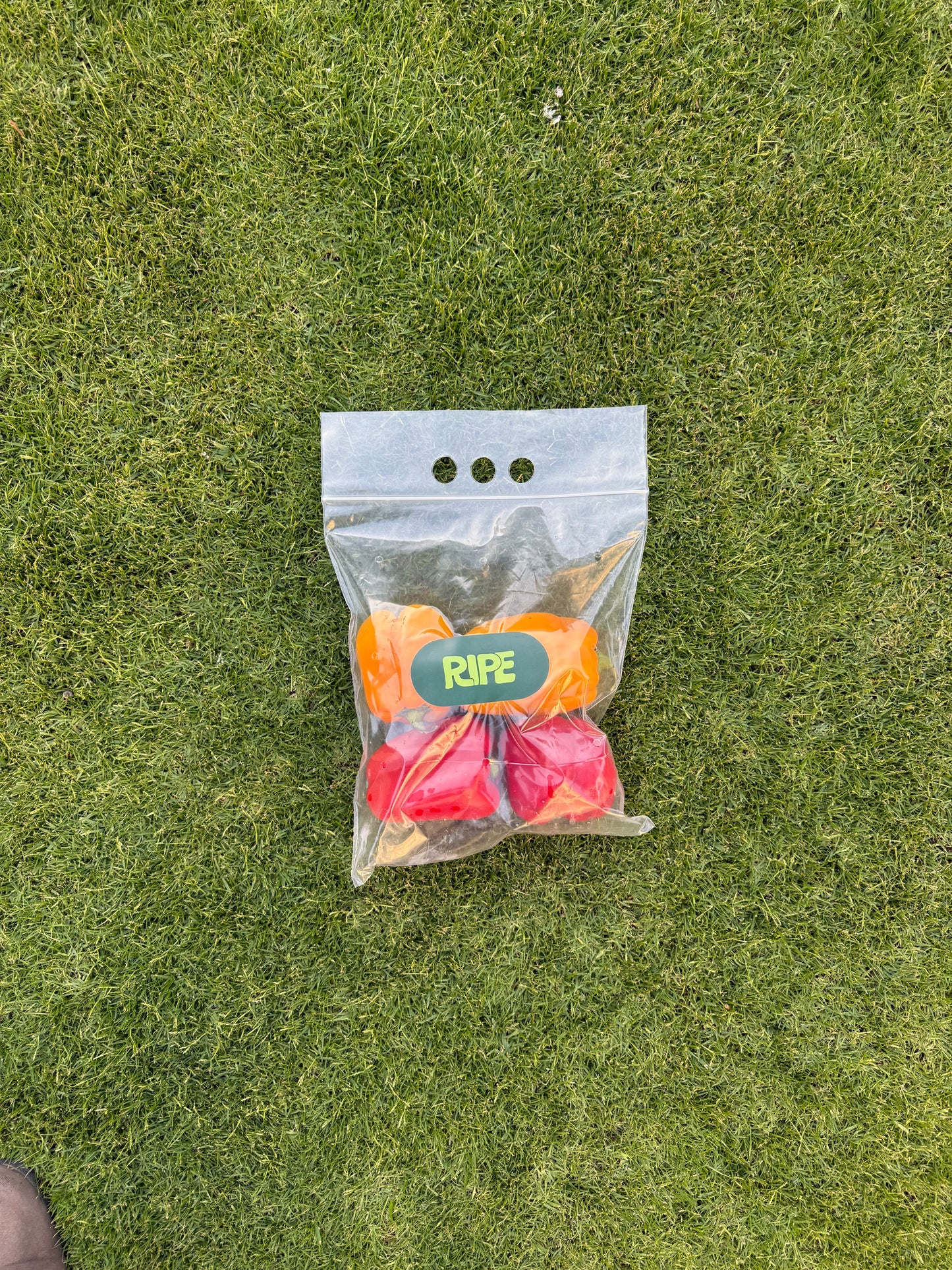 550 G - 700 G (Mixed color bell pepper - فلفل ألوان)